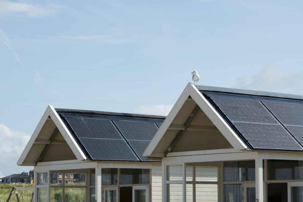 A white seagull perched on the gable roof of a building with solar panels installed under a clear sky, highlighting the importance of regular cleaning for optimal efficiency.